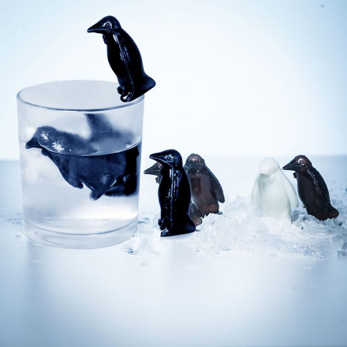 Pinguin Coolers Pinguin Coolers